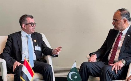 Egypt and Pakistan to establish joint development planning platform following New York talks