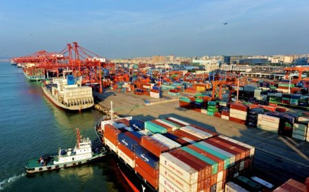 14 countries account for 68.8% of Egypt’s foreign trade in H1 FY2025/26: CBE