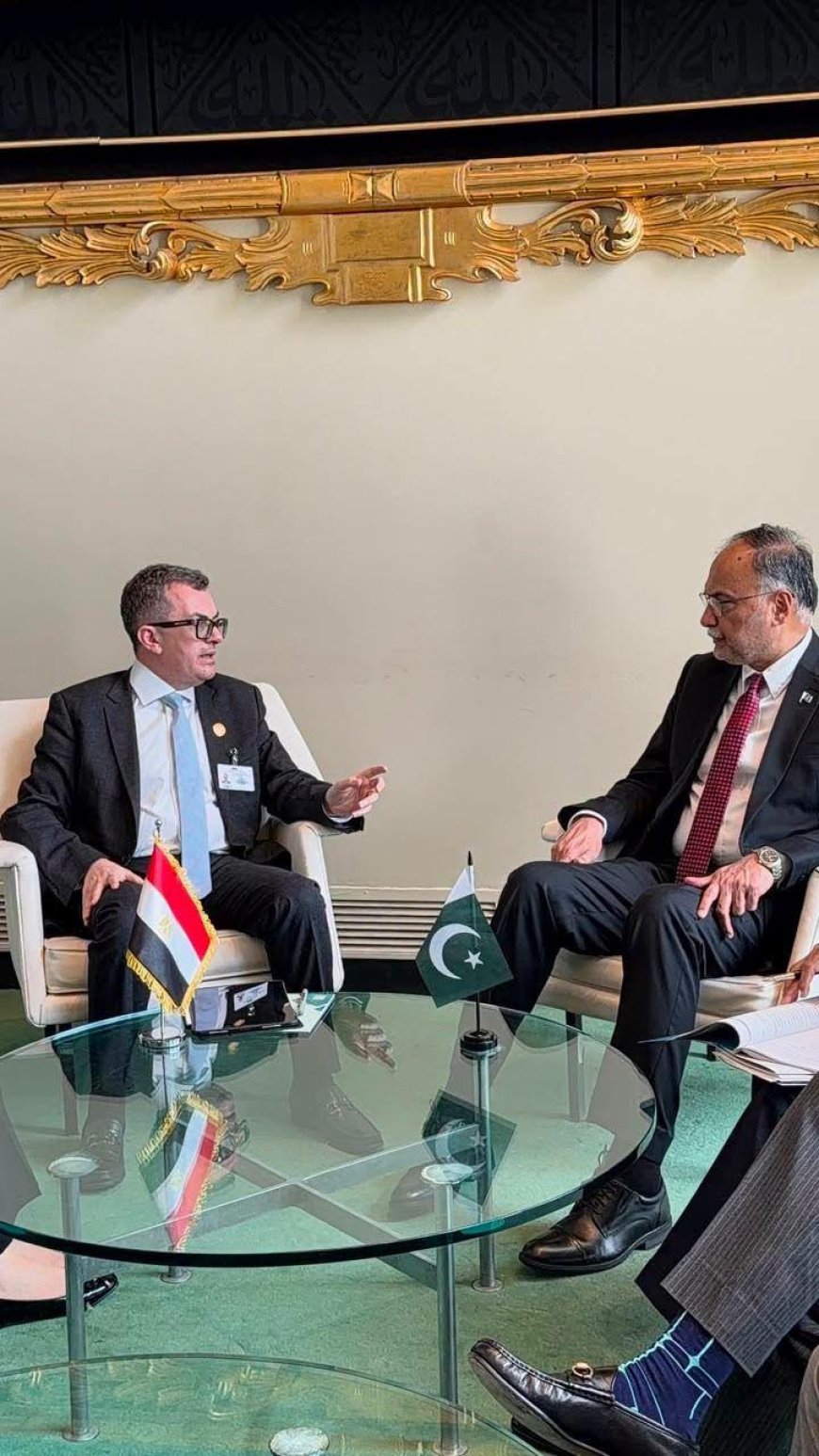 Egypt and Pakistan to establish joint development planning platform following New York talks