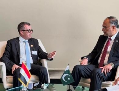 egypt-and-pakistan-to-establish-joint-development-planning-platform-following-new-york-talks