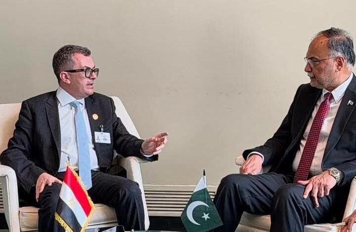 egypt-and-pakistan-to-establish-joint-development-planning-platform-following-new-york-talks
