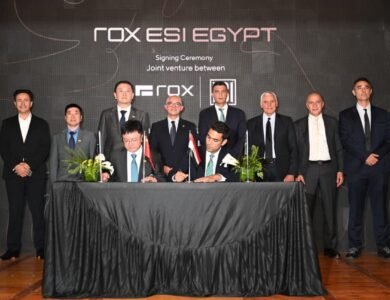 rox-esi-egypt-to-manufacture-new-energy-vehicles-for-domestic,-export-markets