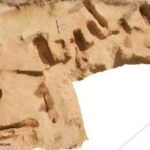 new-jabal-al-tayr-discovery-reshapes-understanding-of-early-egyptian-funerary-architecture