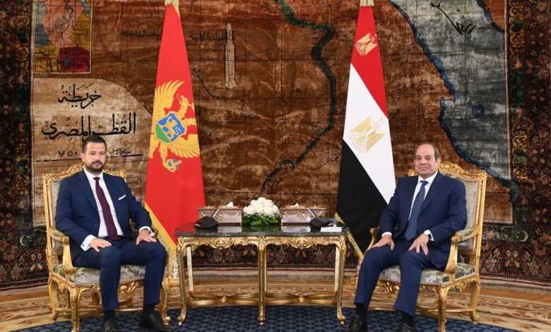 private:-egypt,-montenegro-seek-closer-economic-ties,-reaffirm-support-for-two-state-solution