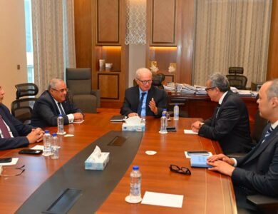 private:-egypt’s-deputy-prime-minister-and-state-auditor-discuss-mechanisms-to-boost-state-owned-enterprise-performance