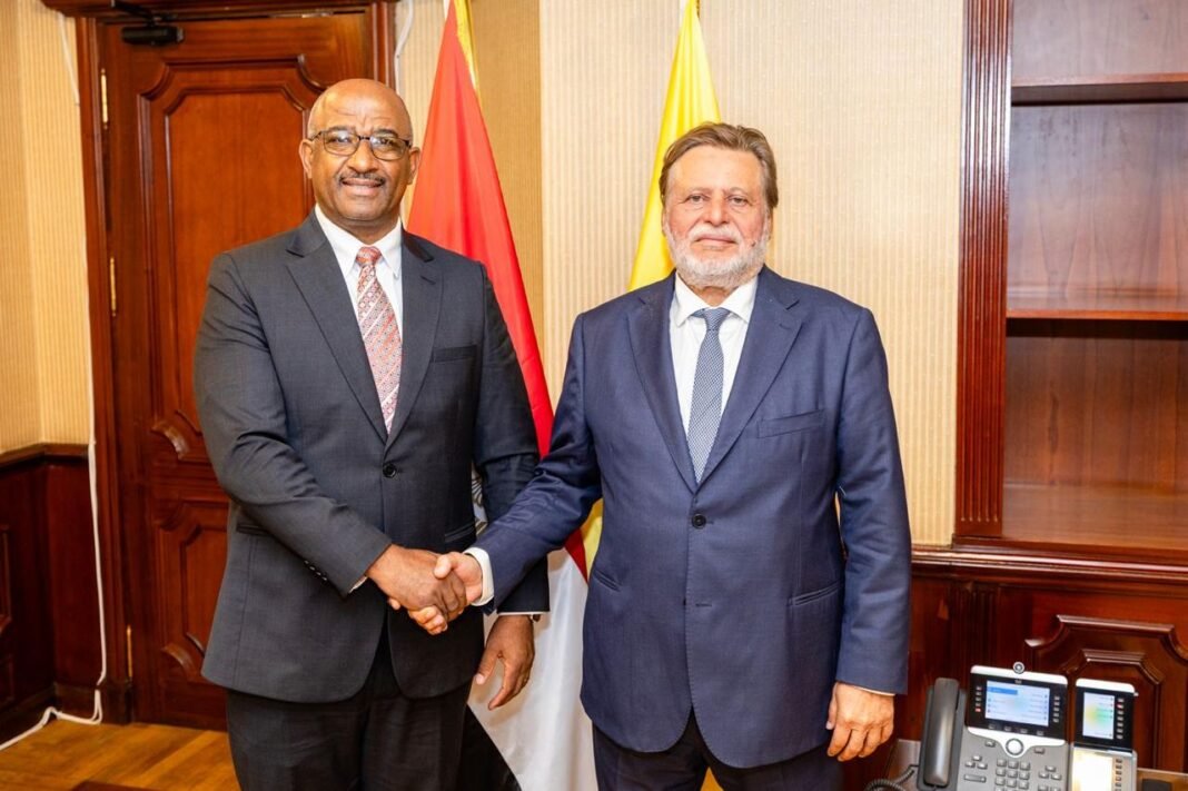 Egypt, Eswatini discuss expanding banking cooperation private:-egypt,-eswatini-discuss-expanding-banking-cooperation