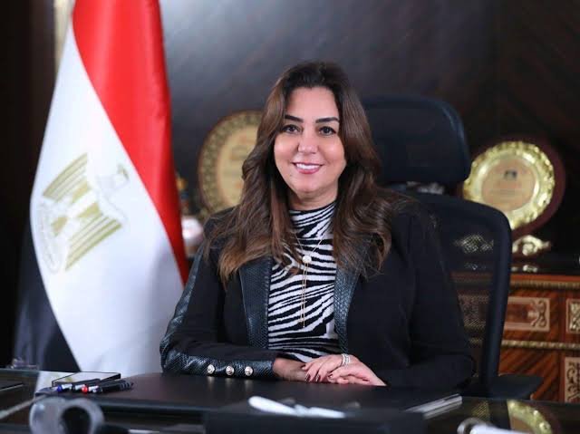 The start of issuing licenses for public stores through “Digital Egypt” The start of issuing licenses for public stores through “Digital Egypt”