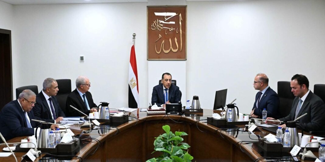 private:-egypt-weighs-transferring-ownership-of-state-holding-companies-to-cut-public-debt