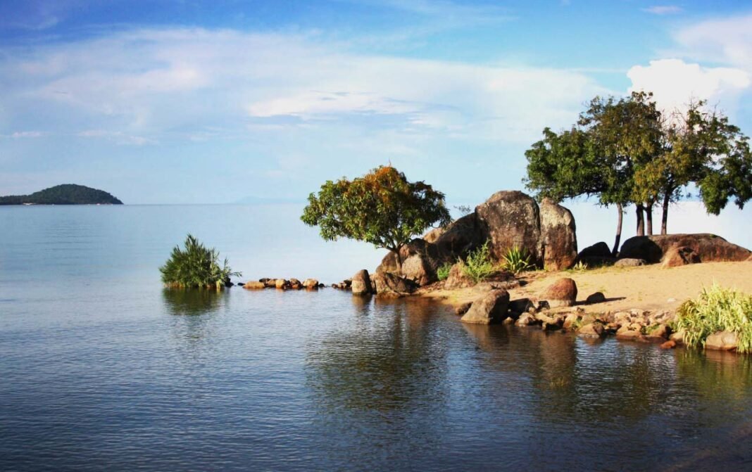 egypt,-uganda-prepare-next-phase-of-great-lakes-weed-project-as-cairo-highlights-$100m-nile-basin-fund