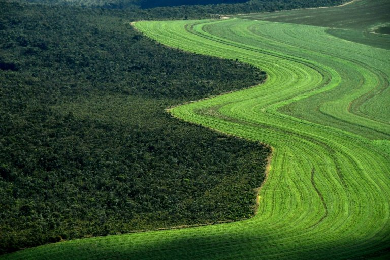 NCW launches new agricultural waste recycling phase ncw-launches-new-agricultural-waste-recycling-phase