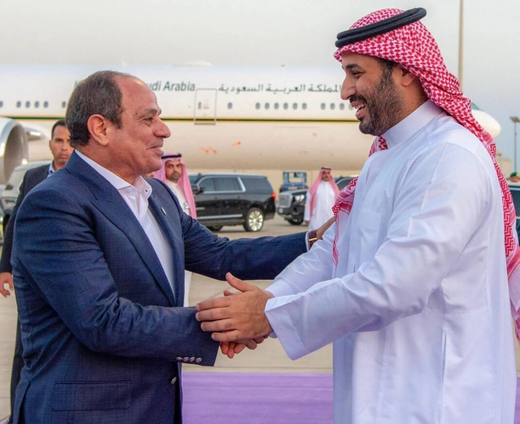 bin-salman’s-visit-to-cairo-bolsters-egyptian-saudi-coordination:-diplomat
