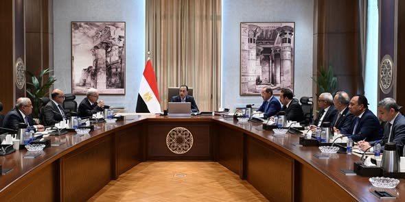 madbouly-reviews-restructuring-targets-for-state-owned-holding-companies