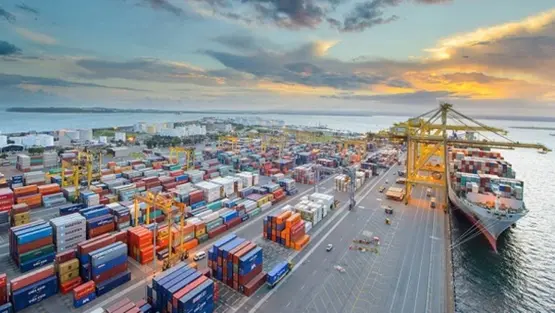 Egypt develops eight integrated logistics corridors to boost transport, transit trade egypt-develops-eight-integrated-logistics-corridors-to-boost-transport,-transit-trade