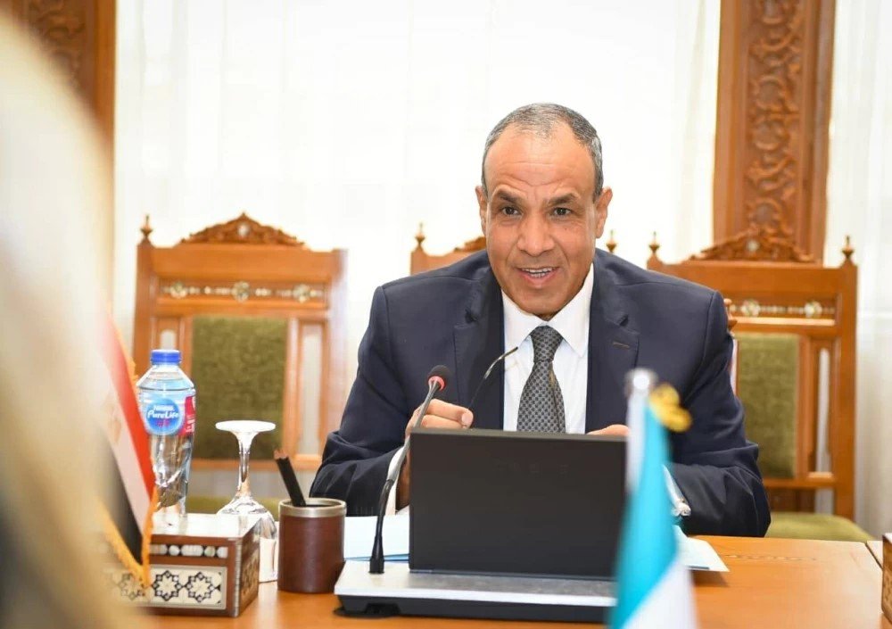 Egyptian expats are key partners in development: Foreign Minister egyptian-expats-are-key-partners-in-development:-foreign-minister