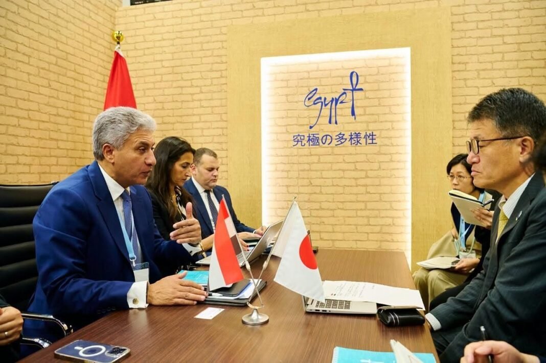 egypt,-japan-discuss-strengthening-tourism-cooperation