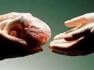 proposal-to-harvest-organs-from-egypt’s-death-row-inmates-sparks-controversy
