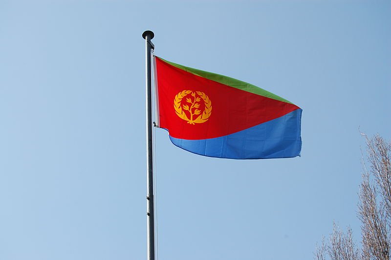 fm:-egypt-ready-to-provide-eritrea-with-technical-support,-training-in-needed-areas