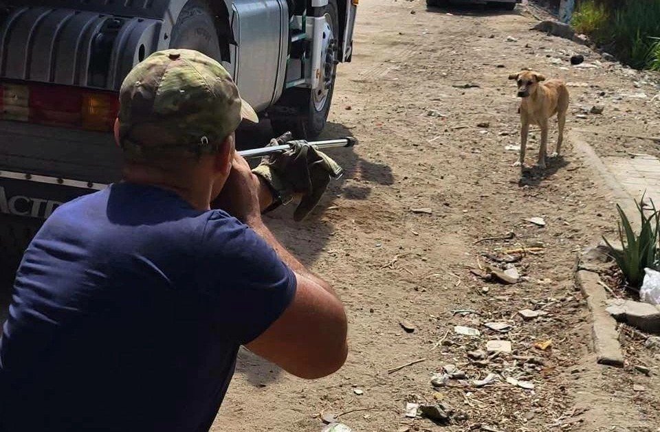egypt’s-agriculture-ministry-steps-up-field-efforts-to-prevent-rabies
