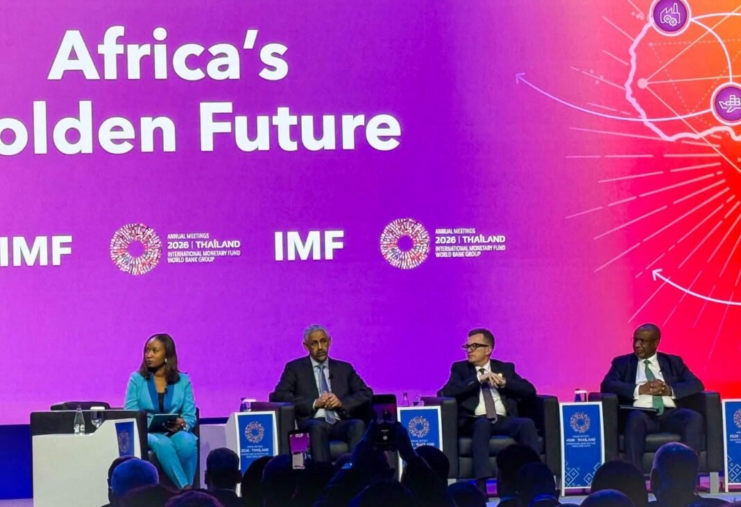 planning-minister-outlines-67%-private-sector-investment-target-and-african-integration-vision-at-world-bank-imf-meetings