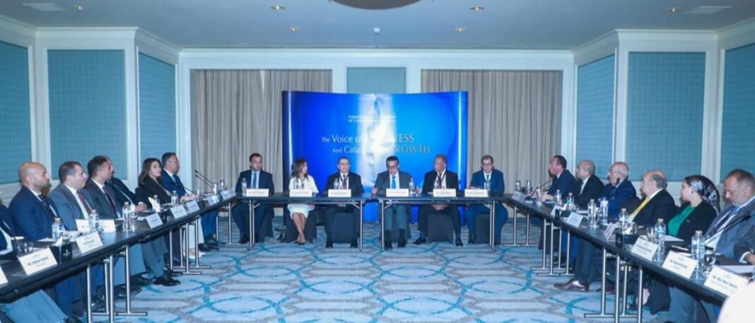 egypt-highlights-private-sector-role-in-healthcare-development,-pharmaceutical-localization