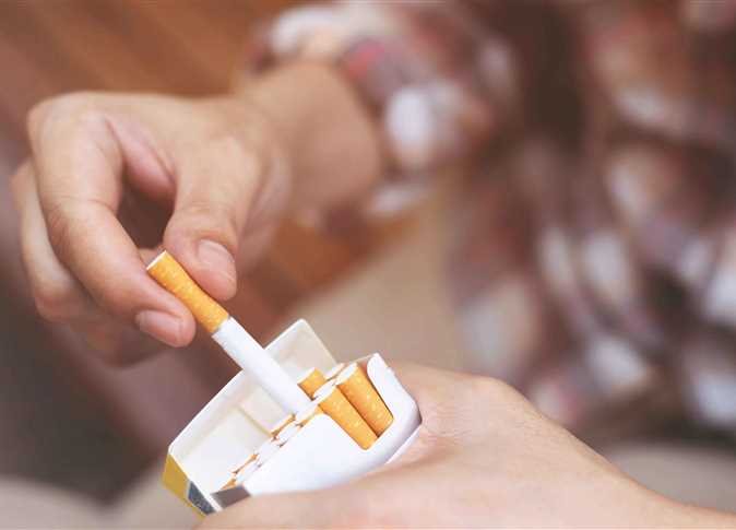 Prices of 2 cigarette brands increase amid Egypt’s rising US dollar exchange rate prices-of-2-cigarette-brands-increase-amid-egypt’s-rising-us-dollar-exchange-rate